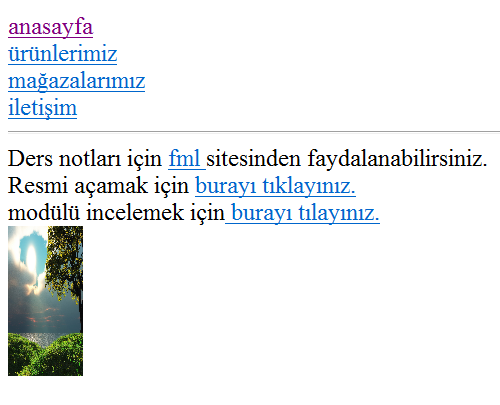 sayfalar arası link